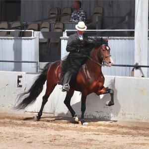 Meet your Posher, Randy